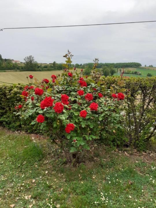 Gite De La Cheneraie Montpezat-de-Quercy ภายนอก รูปภาพ