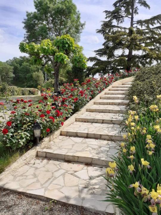 Gite De La Cheneraie Montpezat-de-Quercy ภายนอก รูปภาพ